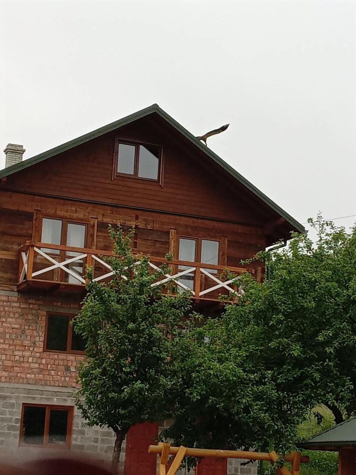 Золота Рибка Villa Szlavszke Kültér fotó
